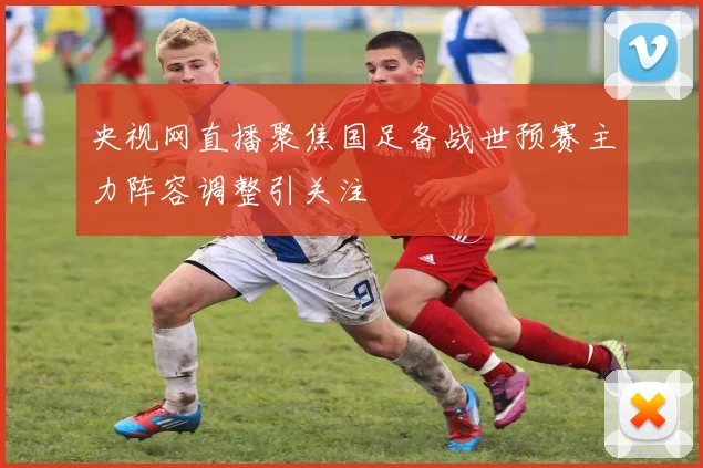 央视网直播聚焦国足备战世预赛主力阵容调整引关注