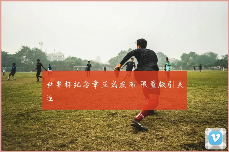 世界杯纪念章正式发布 限量版引关注