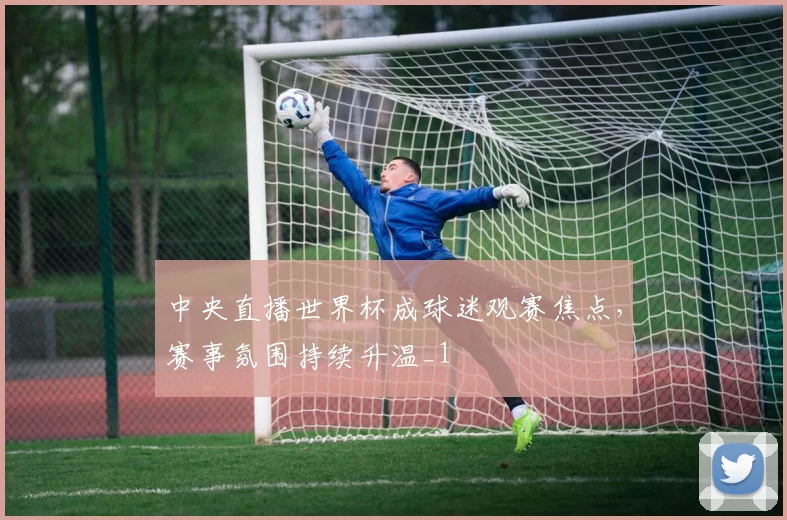 中央直播世界杯成球迷观赛焦点,赛事氛围持续升温_1