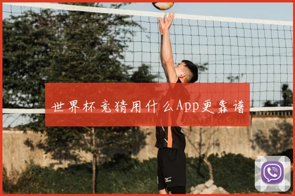 世界杯竞猜用什么App更靠谱