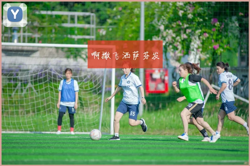 世界杯直播开启搜狐专区 多场焦点赛事赛况实时更新供球迷观看
